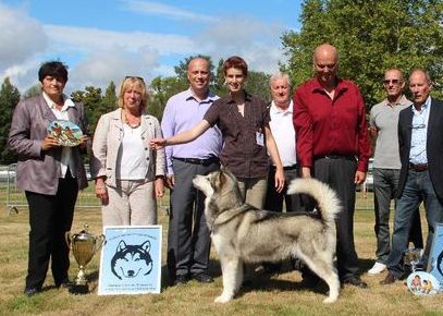 Alaskan Diamond - Djinn, MEILLEUR CHIEN de la Nationale d'Elevage 2014