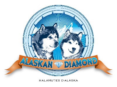 Alaskan Diamond